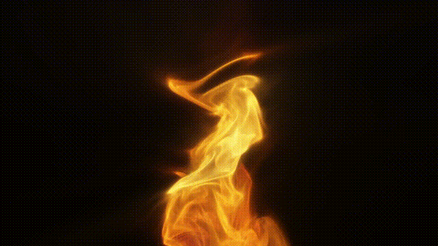 2505163632