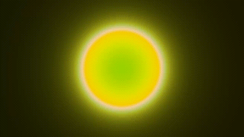 2505165518